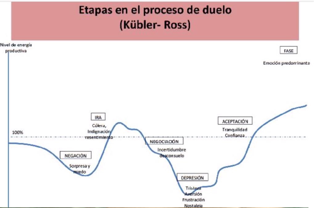 El duelo y sus fases